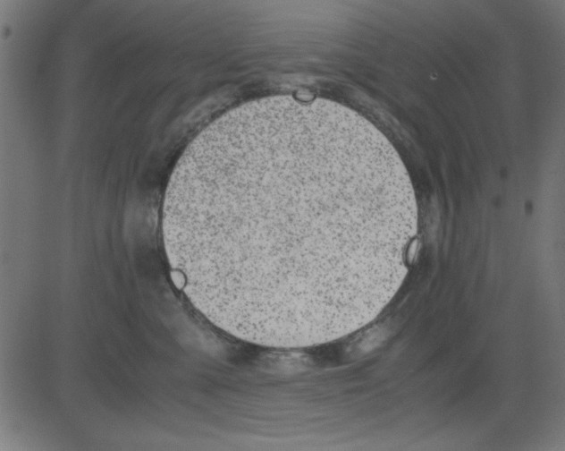 X0000081290427200702012249