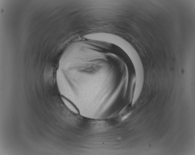 X0000081290428200702012249