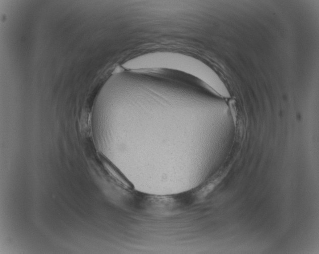 X0000081290429200702012249