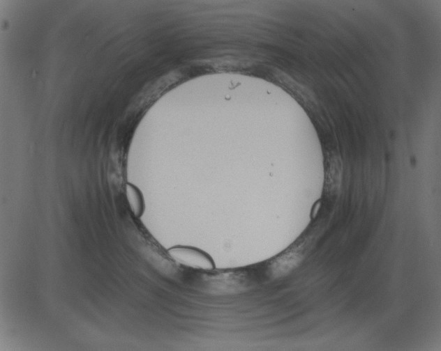 X0000081290430200702012249