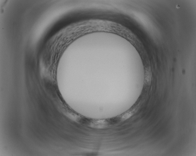 X0000081290431200702012249