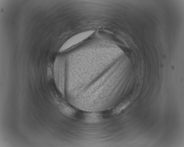 X0000081290432200702012249