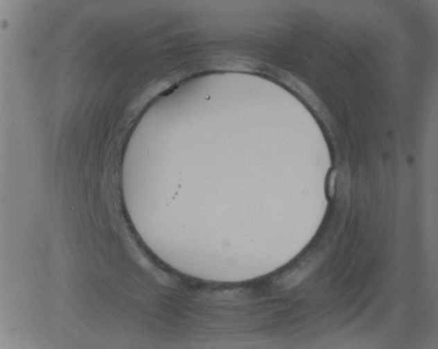 X0000081290433200702012248