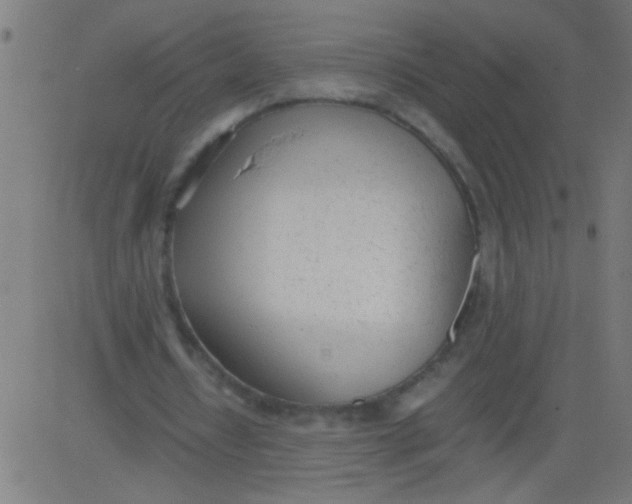 X0000081290434200702012248