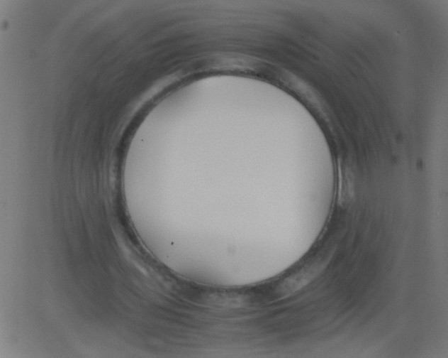 X0000081290435200702012248