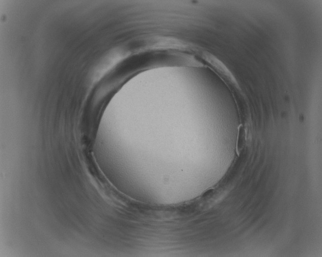 X0000081290436200702012248