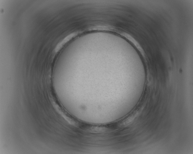 X0000081290437200702012248