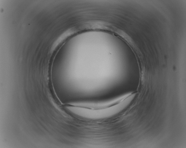 X0000081290438200702012248