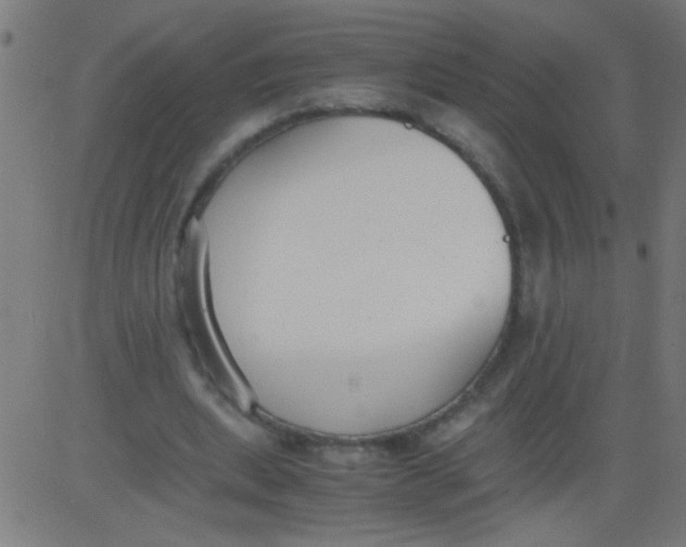 X0000081290439200702012248