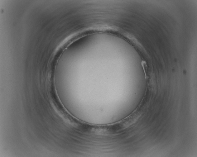 X0000081290440200702012248