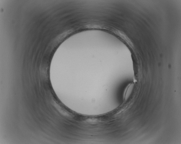 X0000081290441200702012248