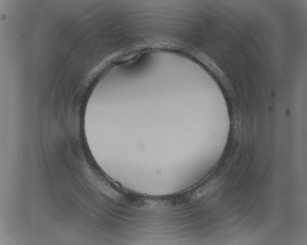 X0000081290442200702012248