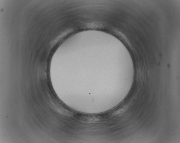 X0000081290443200702012248