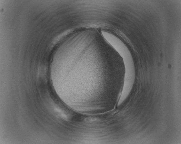 X0000081290444200702012248