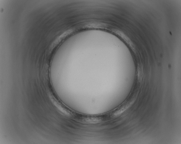 X0000081290445200702012248