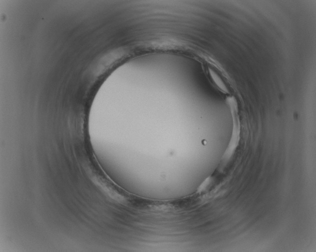 X0000081290446200702012248