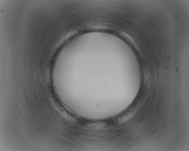 X0000081290447200702012248