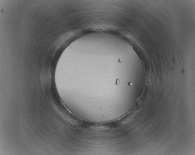 X0000081290448200702012248