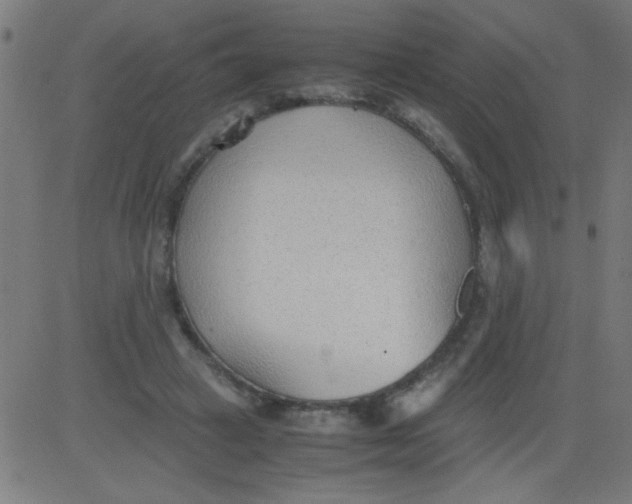 X0000081290449200702012248