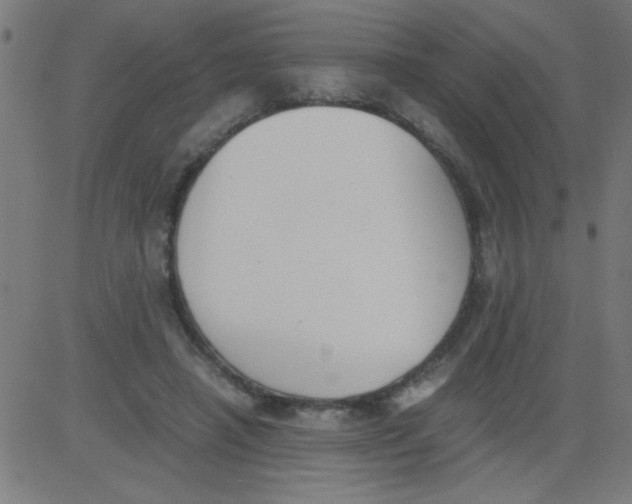 X0000081290450200702012248