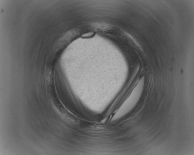 X0000081290451200702012248