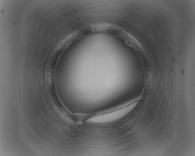 X0000081290452200702012248