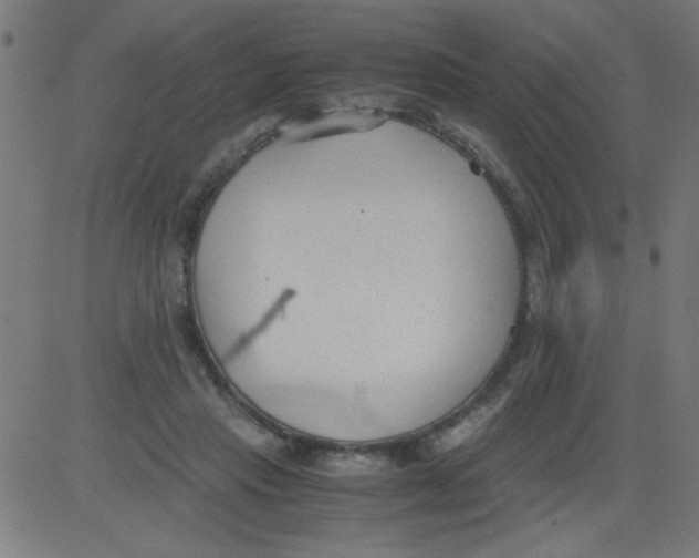 X0000081290453200702012248