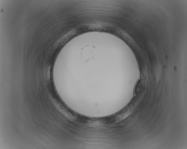 X0000081290454200702012248