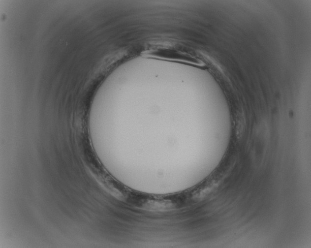 X0000081290455200702012248