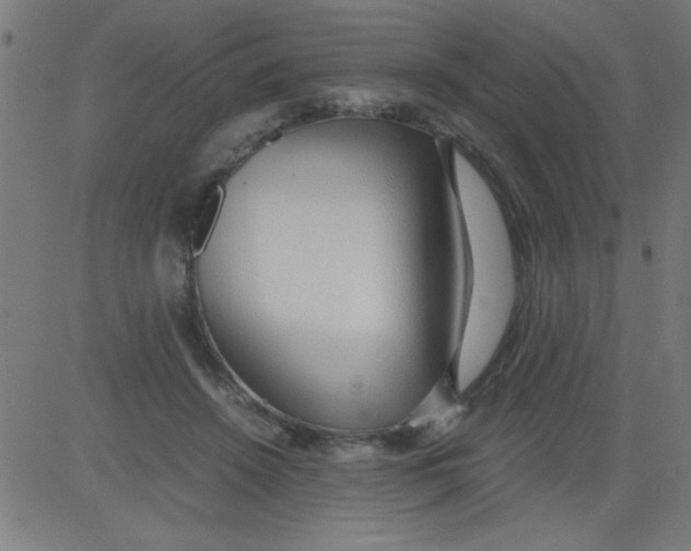 X0000081290456200702012248