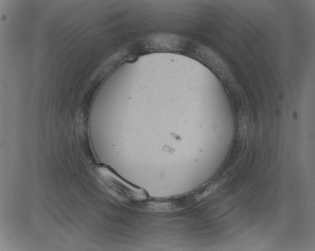 X0000081290457200702012248