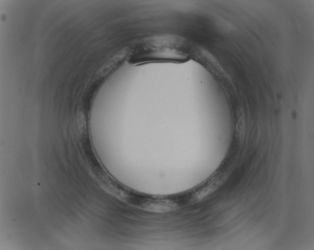 X0000081290459200702012248