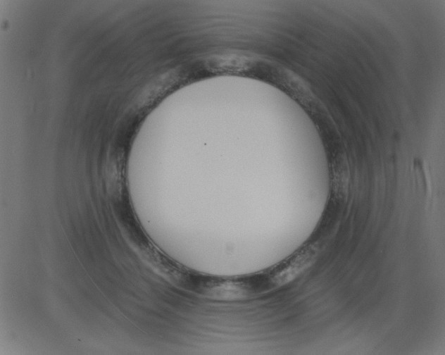 X0000081290460200702012248