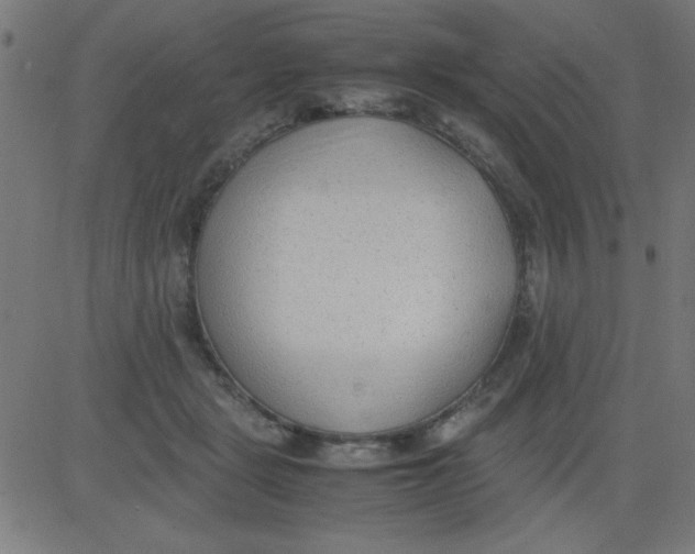 X0000081290461200702012248