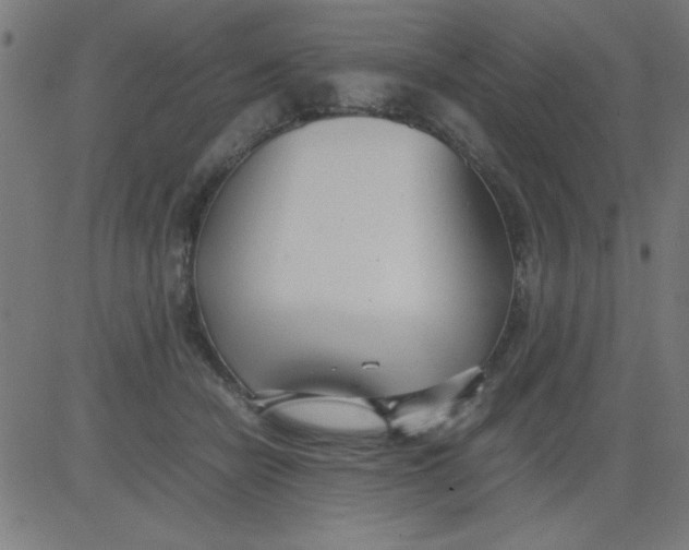 X0000081290462200702012248