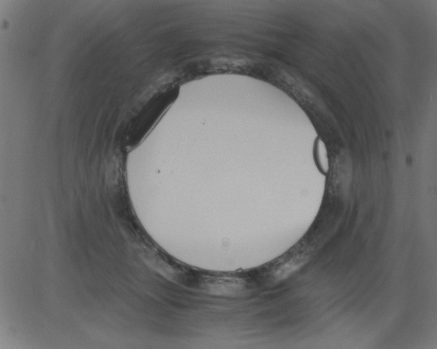 X0000081290463200702012248