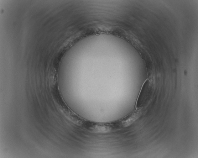 X0000081290464200702012248