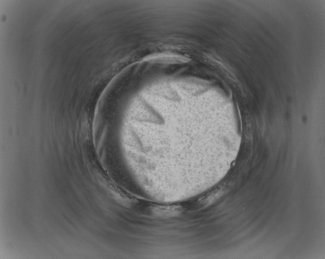 X0000081290465200702012248