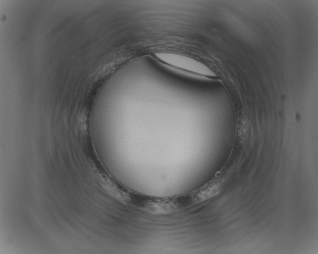 X0000081290466200702012248