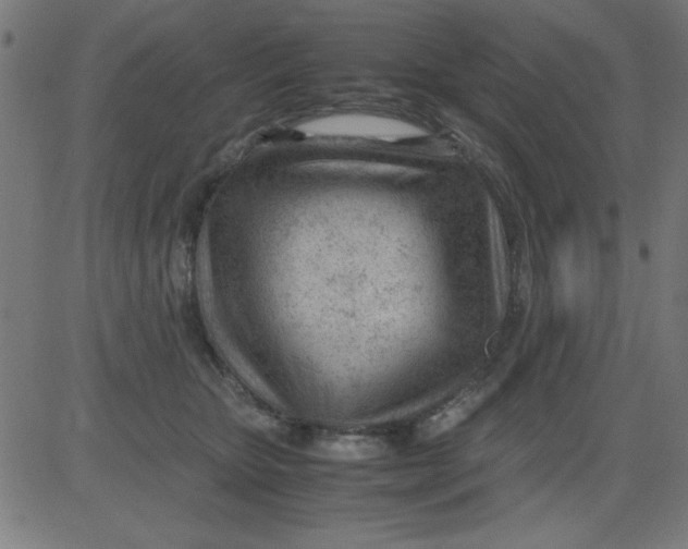 X0000081290467200702012248