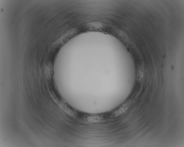 X0000081290468200702012248