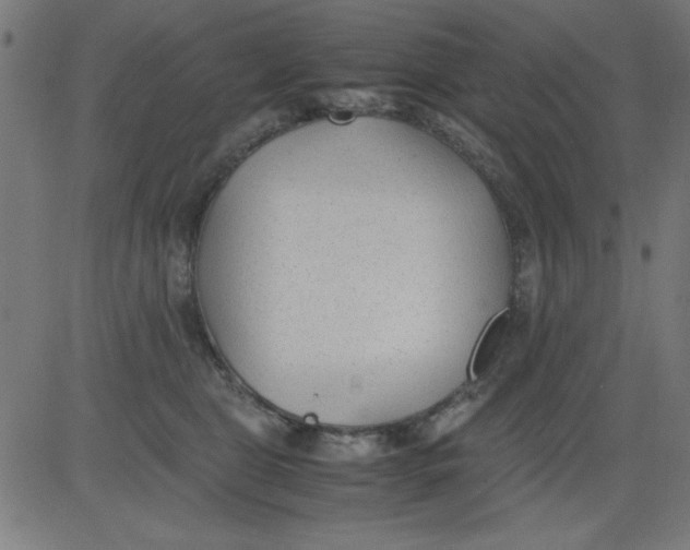 X0000081290469200702012249