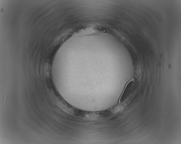 X0000081290470200702012249