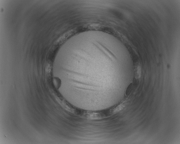 X0000081290472200702012249