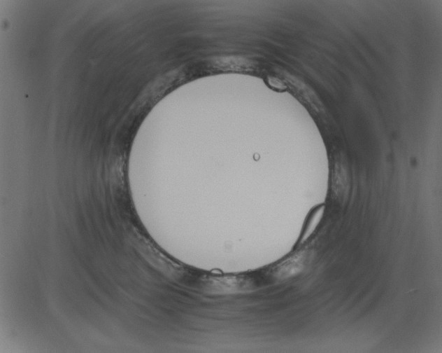 X0000081290473200702012249