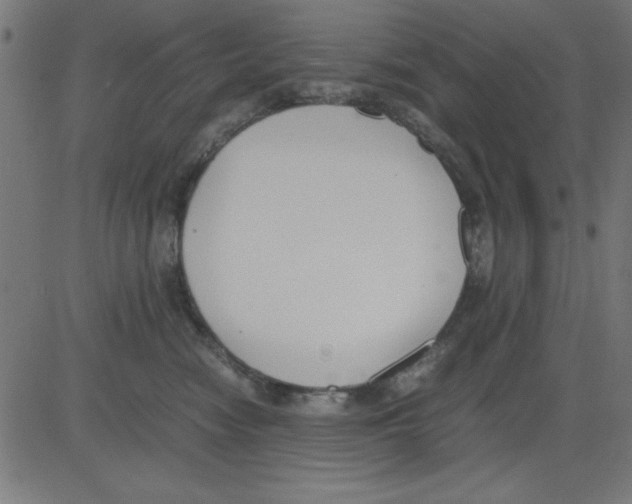 X0000081290474200702012249