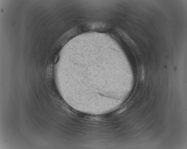 X0000081290475200702012249