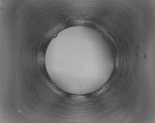 X0000081290476200702012249