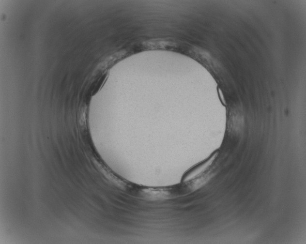 X0000081290477200702012249