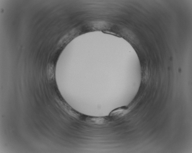 X0000081290478200702012249